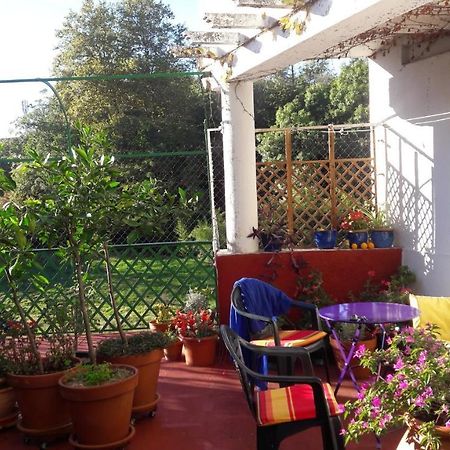 Les Camelias Bed & Breakfast Mazamet Ngoại thất bức ảnh