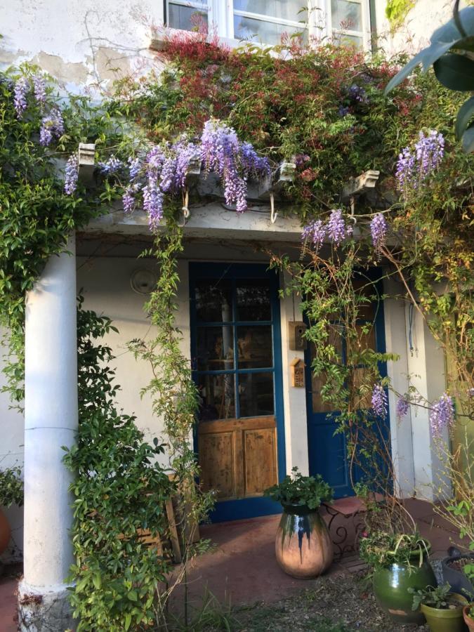 Les Camelias Bed & Breakfast Mazamet Ngoại thất bức ảnh