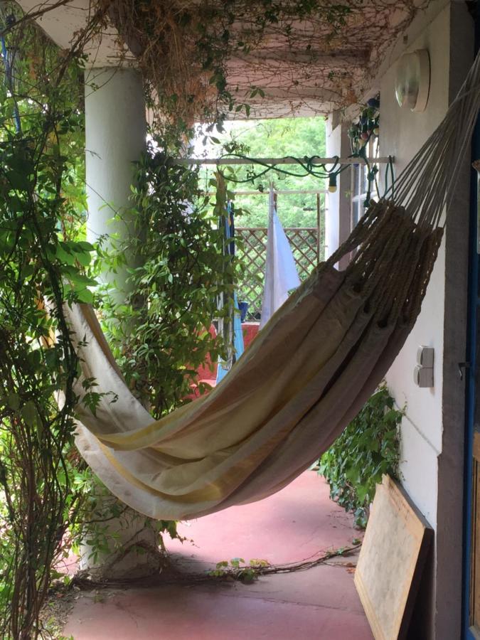 Les Camelias Bed & Breakfast Mazamet Ngoại thất bức ảnh